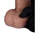 10090x3.jpg