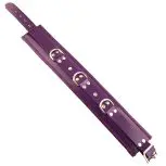 RC1008PUx1.jpg