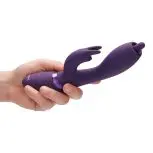 VIVE021PURx2.jpg