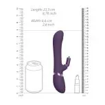 VIVE031PURx3.jpg