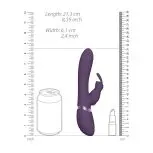VIVE042PURx3.jpg