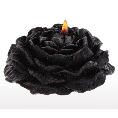 17177x3.jpg 17177x3.jpg