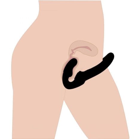 AE169x3.jpg AE169x3.jpg