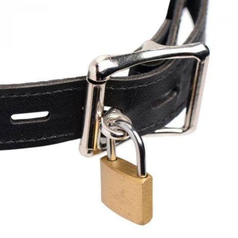 AF637x3.jpg AF637x3.jpg