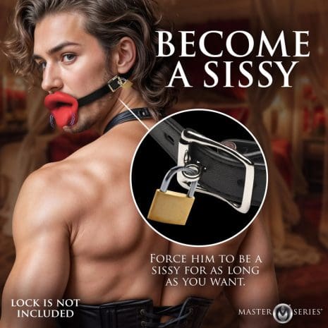 AH611x3.jpg AH611x3.jpg