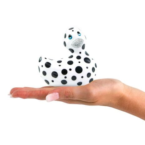 E29013x3.jpg E29013x3.jpg