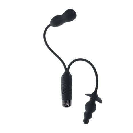 GX-RS-3113-2x3.jpg GX-RS-3113-2x3.jpg