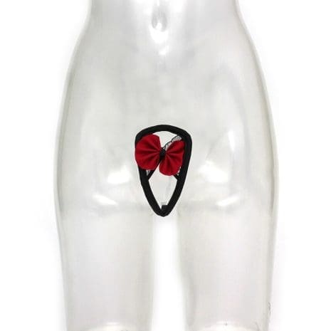 R1531x2.jpg R1531x2.jpg