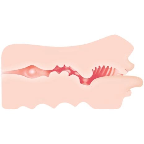 ZE-MS-0410-2x3.jpg ZE-MS-0410-2x3.jpg