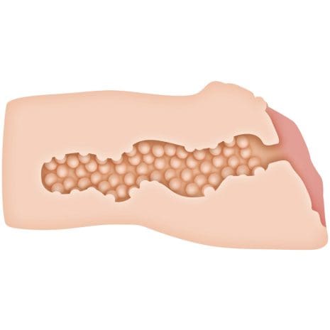 ZE-MS-1219-2x3.jpg ZE-MS-1219-2x3.jpg